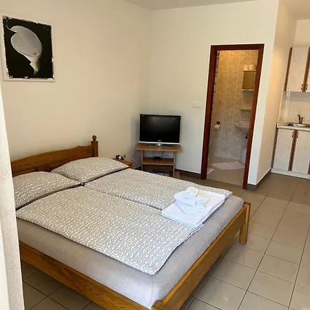 Nikola Apartmán Salatić