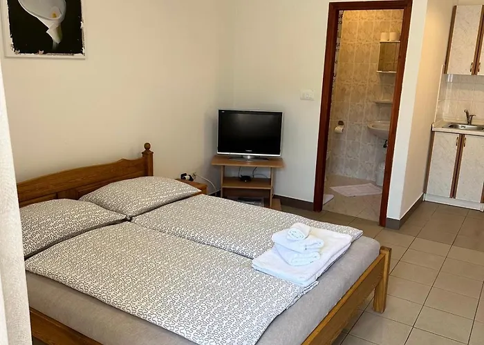 Nikola Apartman Salatic