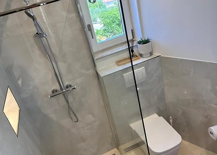 Nikola Apartman Salatic